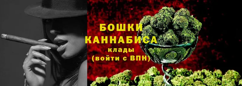 купить  цена  Ардатов  Марихуана White Widow 